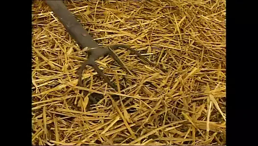 Grosso e Puttane! (Tam Film)