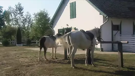 Çift Yarrağa Siktirme Partisi - Full Vintage Porno 