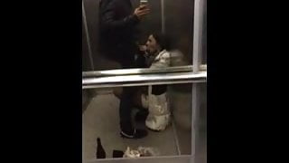 gf asansörde attırma benim kırlangıçlar 
